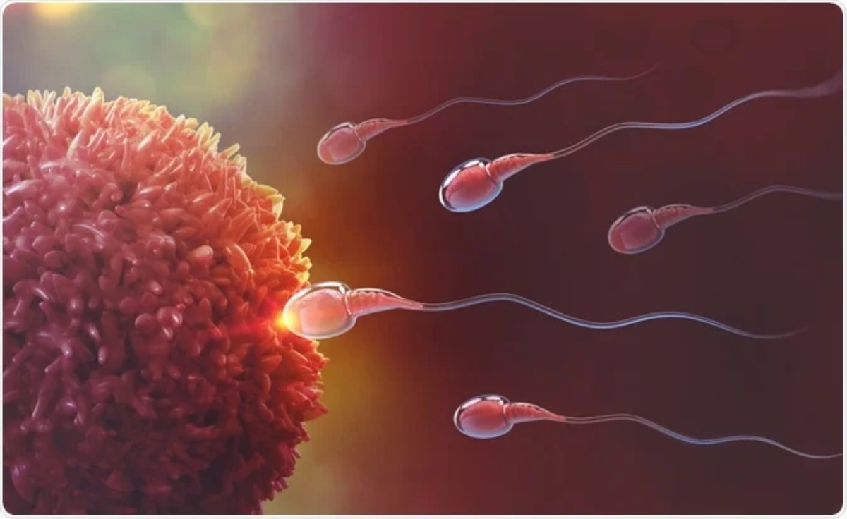 Wellhealthorganic.com male-fertility-increasing-suggest-to-solve-issue