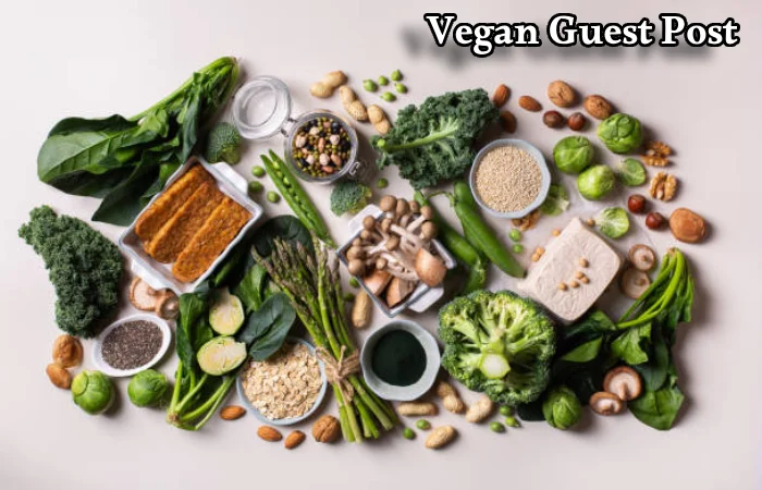 Vegan Guest Post