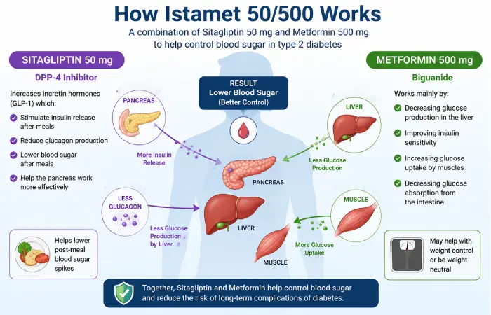 Istamet 50_500 uses-guide